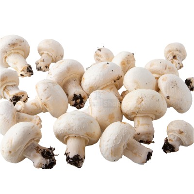 Шампиньоны свежие 500 г - купить в Нарате